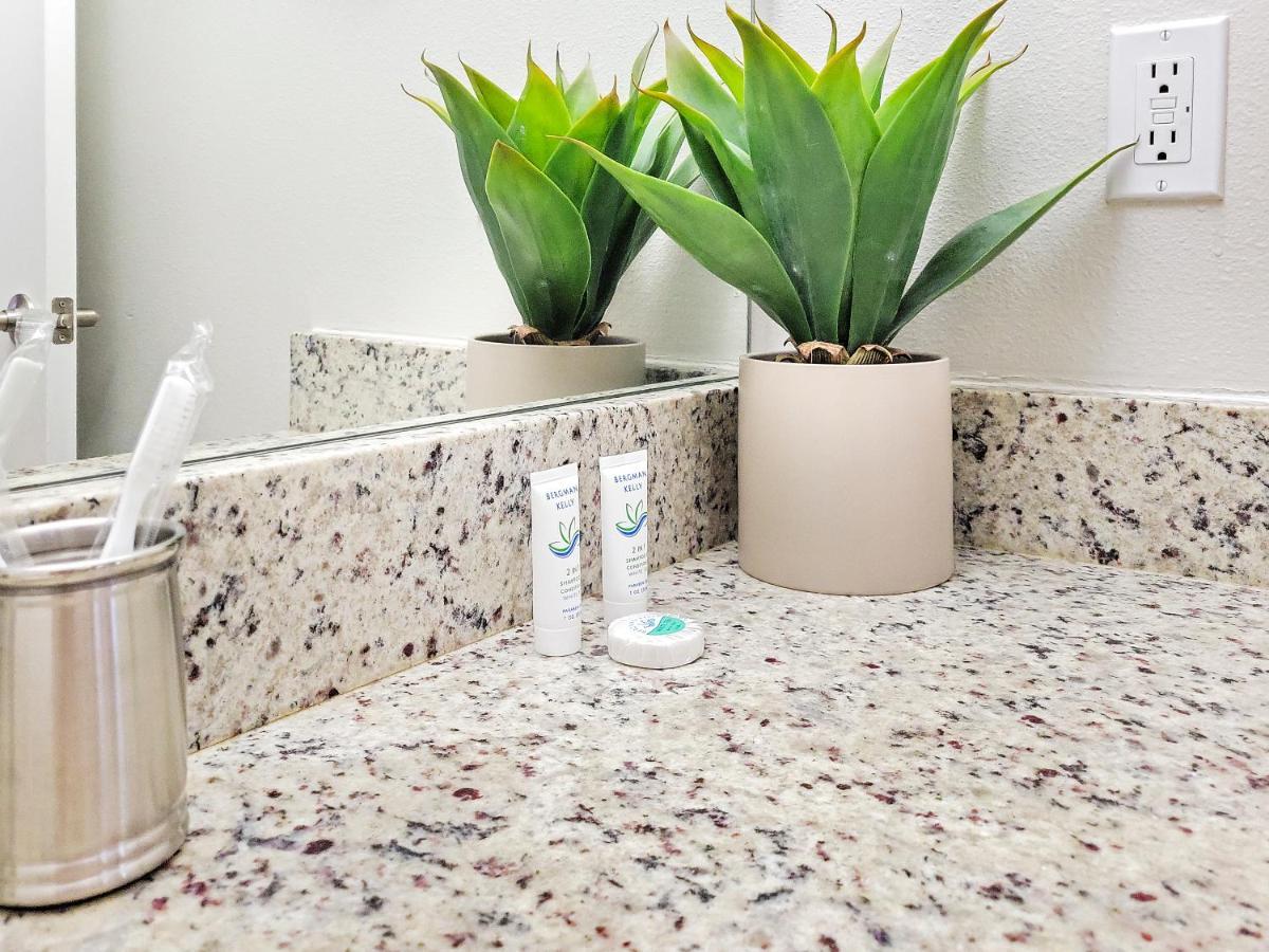 Getaway Apartment Near Beaches And Airport Tampa Bagian luar foto